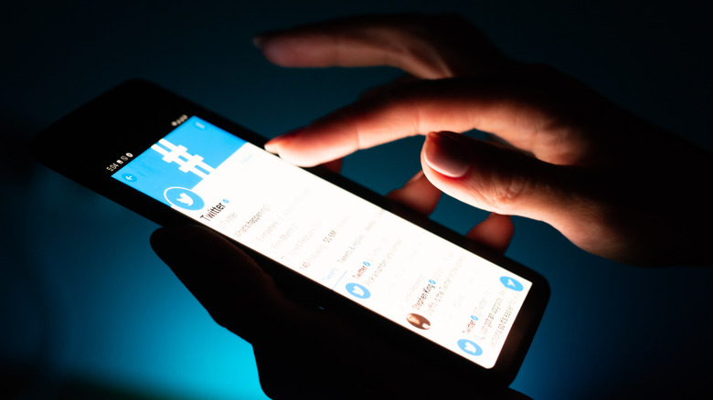 Person using the Twitter app