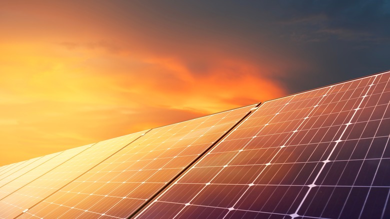 Solar panels under sunset