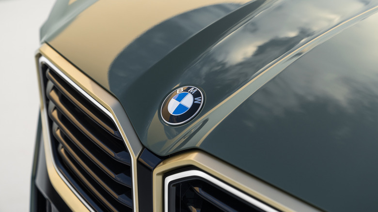 Close-up of BMW logo on BMW XM hood
