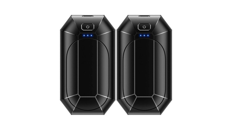 A pair of Dnaleao rechargeable hand warmers