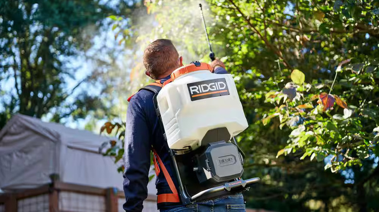Ridgid backpack sprayer in use