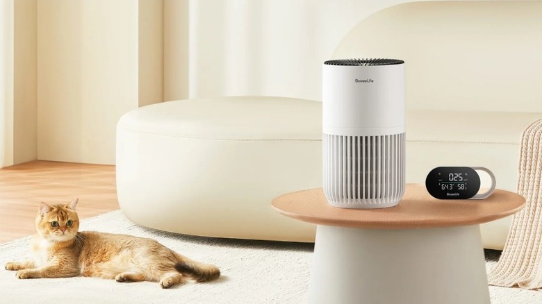 White air purifier on a table next to a cat on the floor