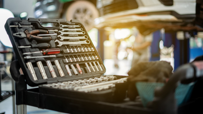 An automotive tool set sitting on a cart in front of white and green vehicles on service lifts.