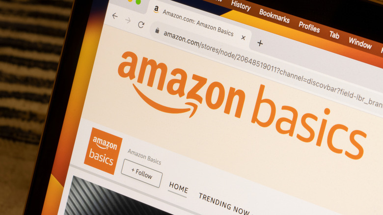 Amazon Basics web page