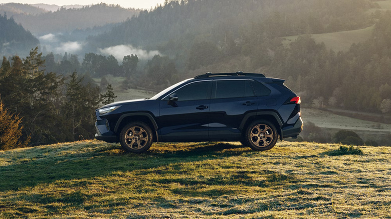 A dark blue 2025 Toyota RAV4 standing in a field, left side profile visible, with mountains, trees, and clouds visible in the background, in the morning