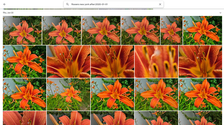Google Photos combine search terms