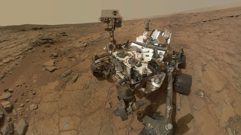 Curiosity takes a selfie