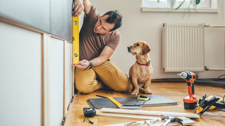 A man doing DIY work, a dog stands near him