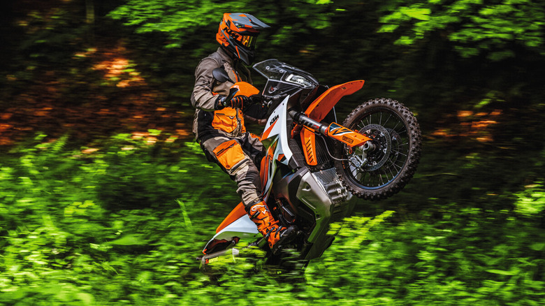 KTM 890 Adventure R in woodland