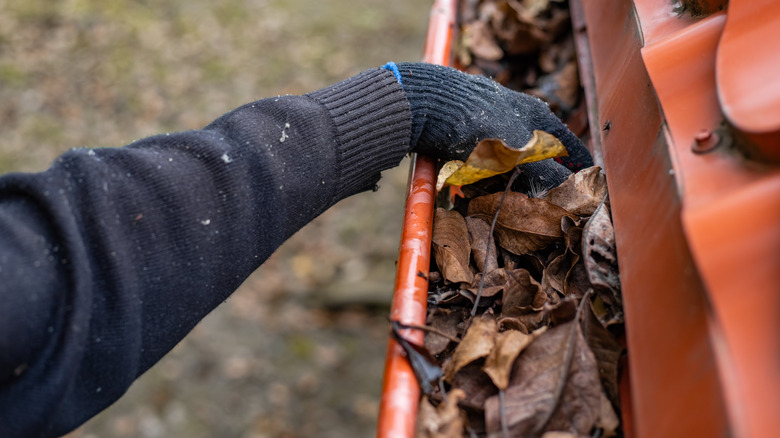 Hang removing leaves from a clogged gutter
