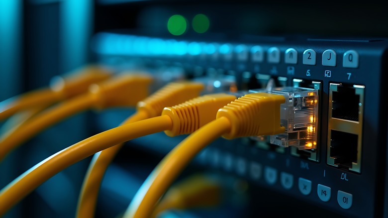 Close up of ethernet cables