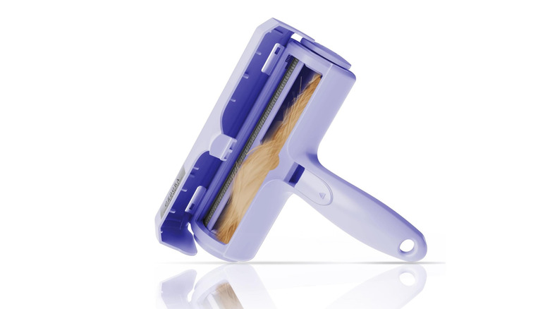 Pet hair remover white background