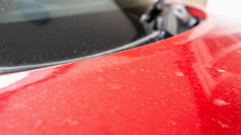Close-up of dirty red car and windshield
