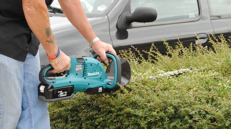 Man with tattoos trimming a hedge with a hedge trimmer
