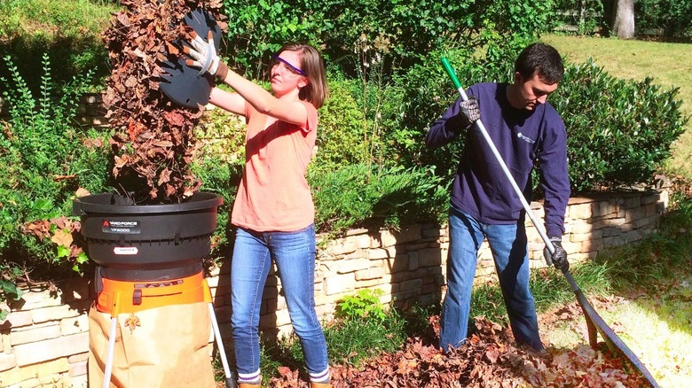 Two people shredding leaves