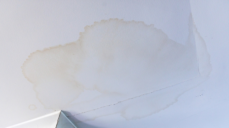 Water damaged ceiling