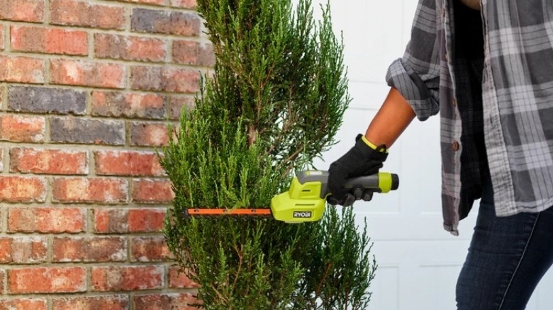 Hand using a shrub trimmer
