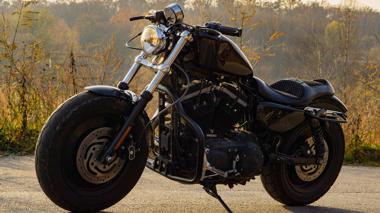 A blacked-out Iron 883 Sportster parked at the side of a road, with the sun in the background