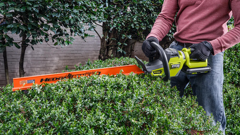 A man trimming hedges with a Ryobi branded hedge trimmer.
