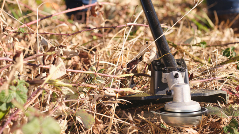 The tip of a Ryobi brush cutter surrounded by dried weeds.