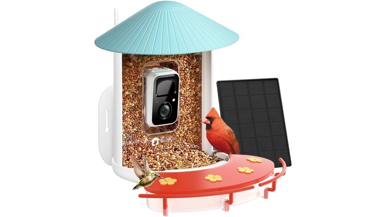 Netvue smart bird feeder