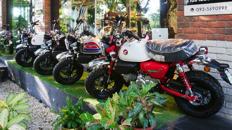 Honda mini motorcycles on display