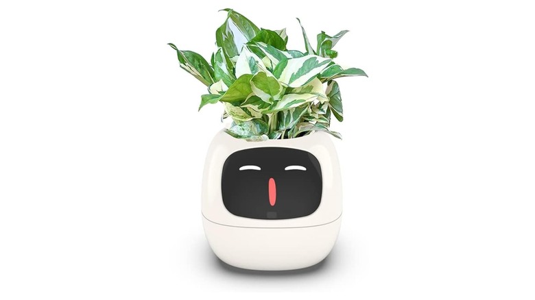 Green plant in a pot with a digital smiling face