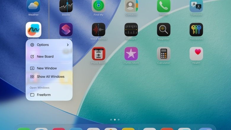 An Apple iPad showing that you can show all windows of an App or open it in a new window.
