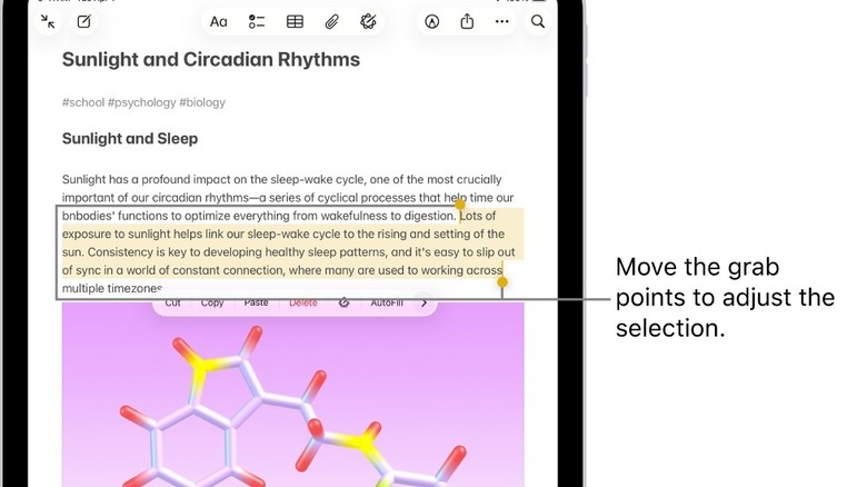 An iPad showing text that has been selected with three fingers.