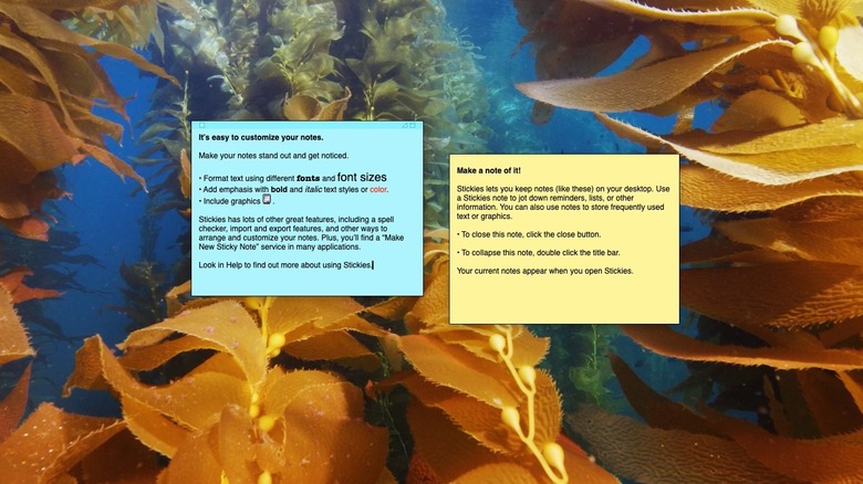 Stickies on Mac OS Desktop