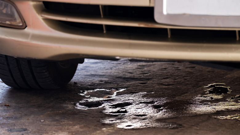 Dark puddles of fluid under the front of a parked car.
