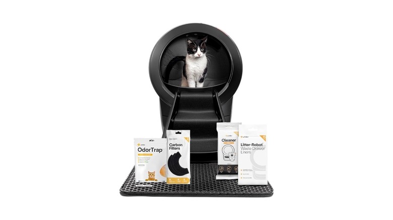 A cat inside a Whisker litter box