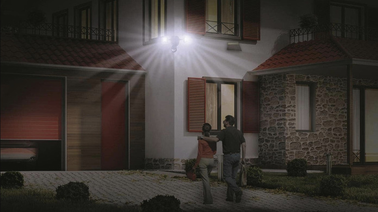 Nature Power 120-Lumen Solar Motion Security Light