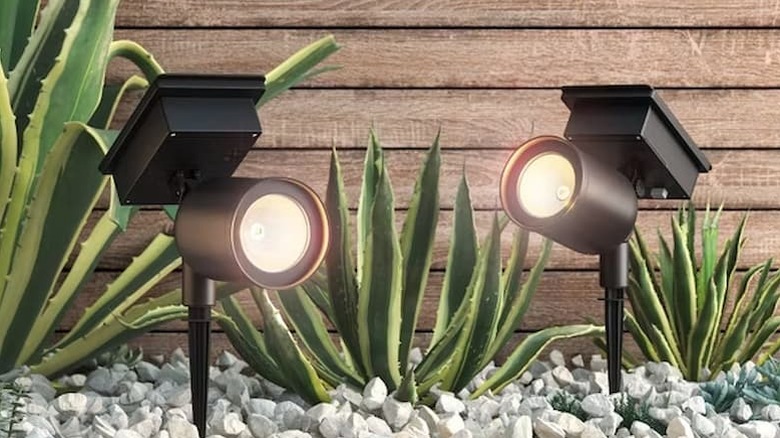 Solar Spotlights being used to light up an area with rocks and plants.