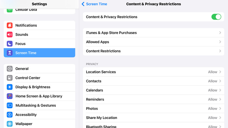 Screenshot showing Content & Privacy Restrictions menu on iPad