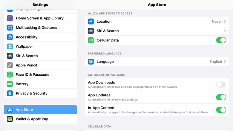 Screenshot of iPad settings for App Store