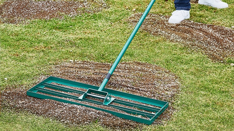 homeowner using the Vevor lawn leveling rake