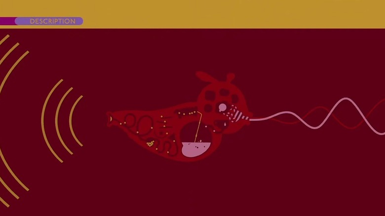 Babel fish diagram from Hitchhiker's Guide