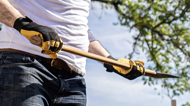 Person holding a shovel, wearing a pair of yellow and black Wells Lamont work gloves.