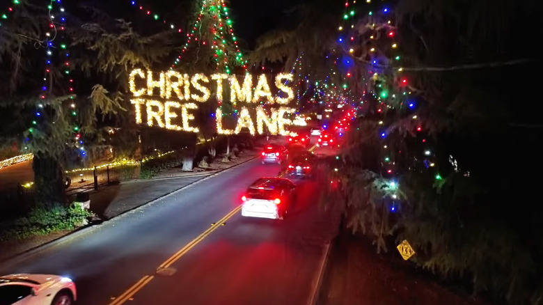 A view of Fresno, California's Christmas Tree Lane