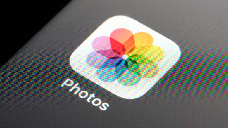Photos app on iPhone screen