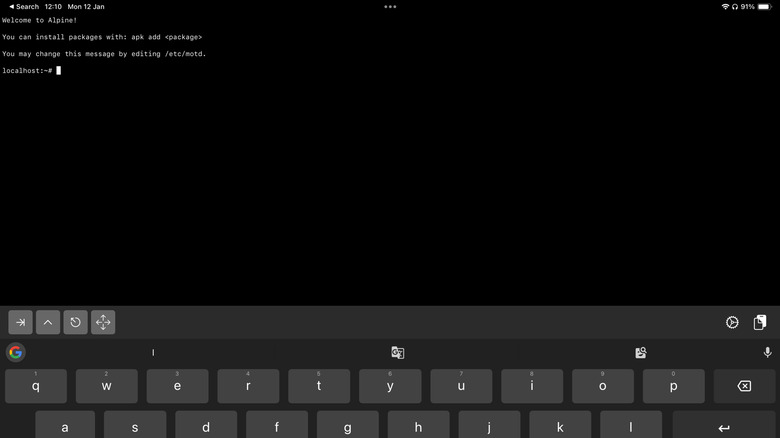 iSH Shell running on an iPad