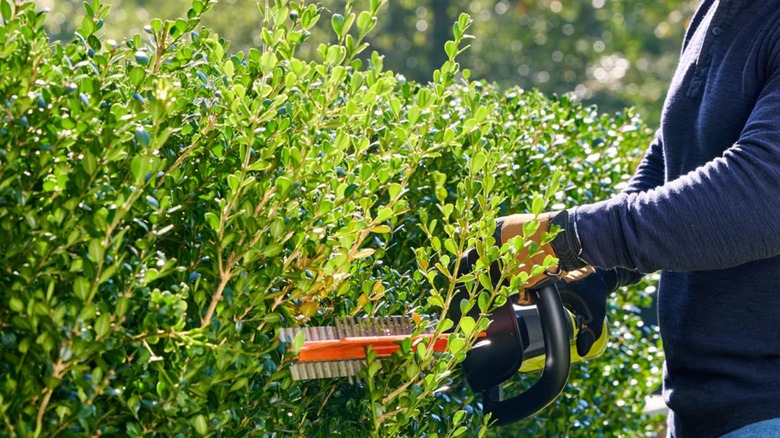 18V ONE+ HP Brushless Hedge Trimmer