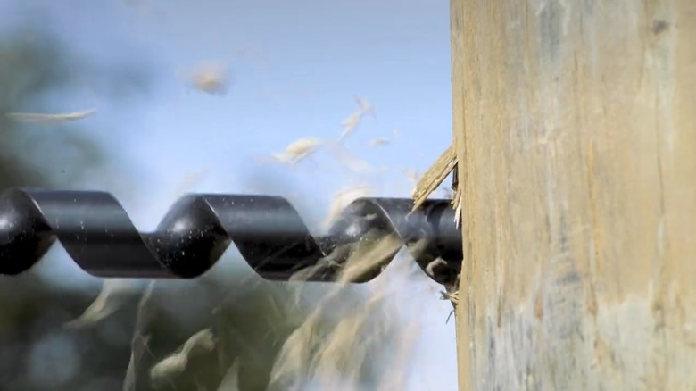 Nail eater bit drilling hole in wood