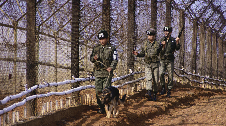 South Korean military guards at DMZ