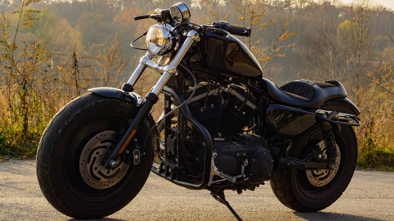 Black Harley-Davidson 883 Sportster Roadster parked on a country road