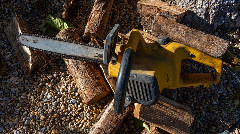 Old chainsaw on logs