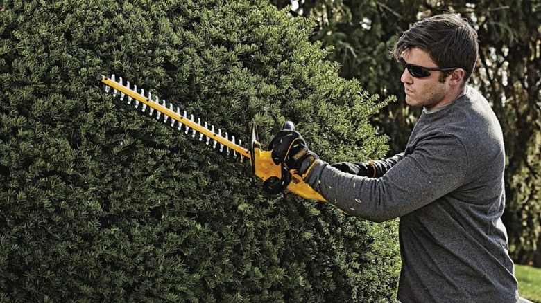 A person using a DeWalt 20-volt hedge trimmer