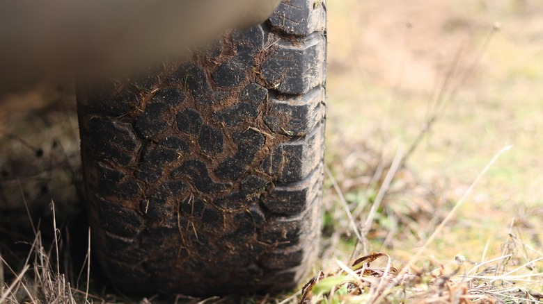 Close-up of muddy truck tire