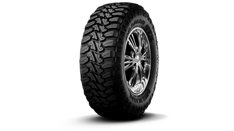 Nexen Rodian MTX Tire